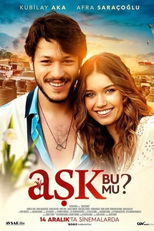 Aşk Bu Mu? izle