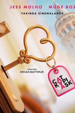 Çat Kapı Aşk izle