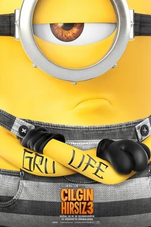 Çılgın Hırsız 3 izle