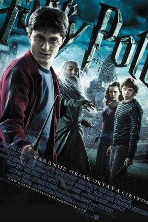 Harry Potter ve Melez Prens izle