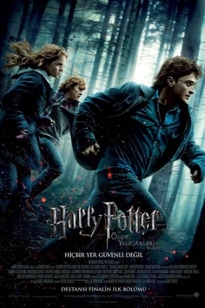 Harry Potter ve Ölüm Yadigarları: Bölüm 1 izle