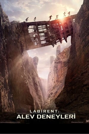 Labirent: Alev Deneyleri izle