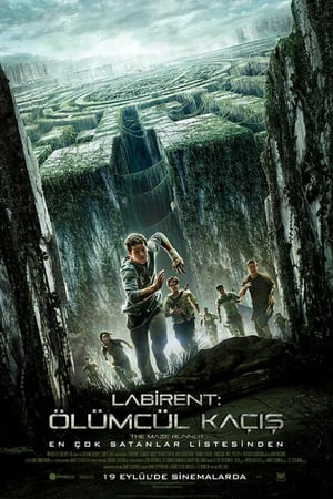 Labirent: Ölümcül Kaçış izle