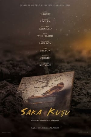Saka Kuşu izle