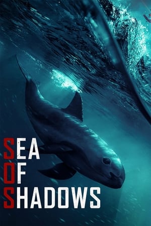 Sea of Shadows izle