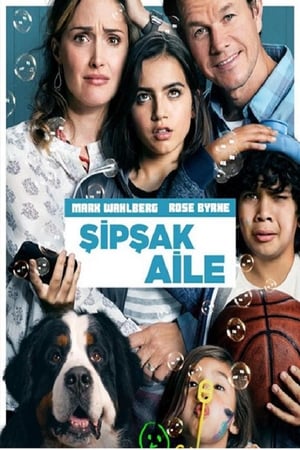 Şipşak Aile izle