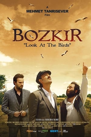 Bozkır Kuşlara Bak Kuşlara izle