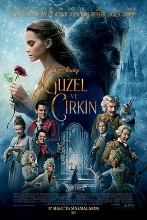 Güzel ve Çirkin izle