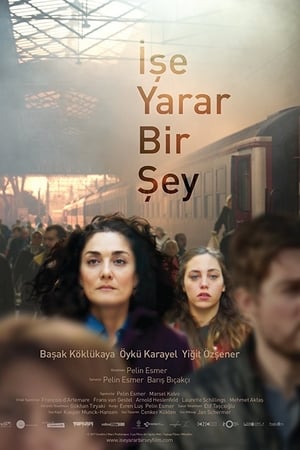 İşe Yarar Bir Şey izle