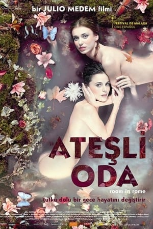 Ateşli Oda izle