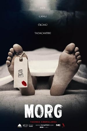 Morg izle