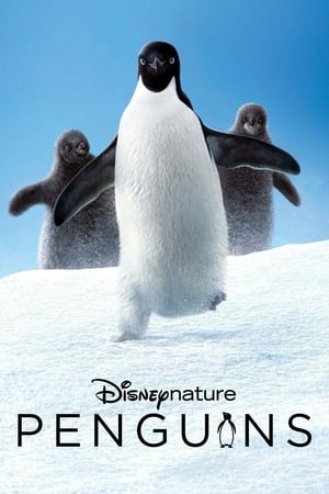 Penguenler izle
