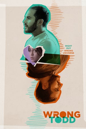 The Wrong Todd izle