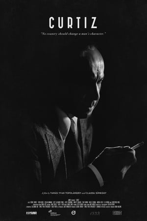 Curtiz izle