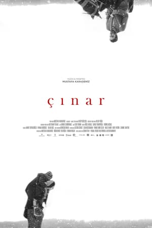 Çınar izle