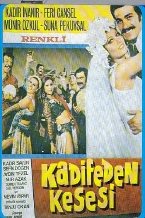 Kadifeden Kesesi izle