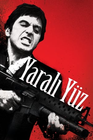 Yaralı Yüz izle
