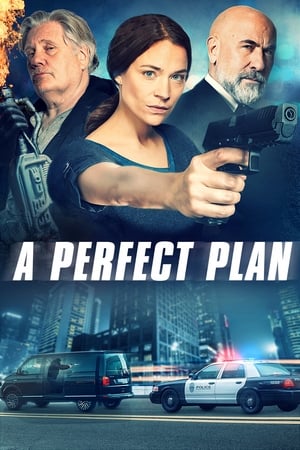 Kusursuz Plan izle