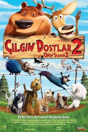 Çılgın Dostlar 2 izle