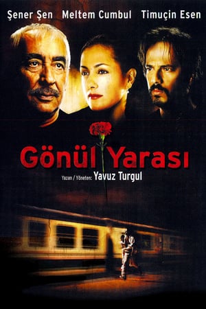 Gönül Yarası izle