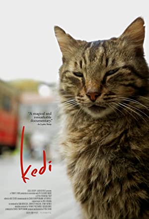 Kedi izle