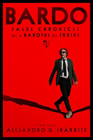 BARDO, Bir Avuç Doğrunun Yalan Yanlış Güncesi izle