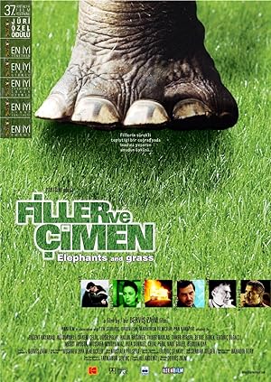 Filler ve Çimen izle