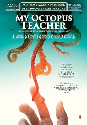 Ahtapottan Öğrendiklerim izle