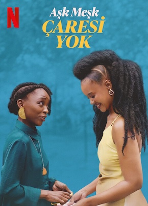 Aşk Meşk: Çaresi Yok izle