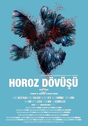 Horoz Dövüşü izle