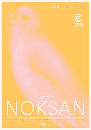 Noksan izle