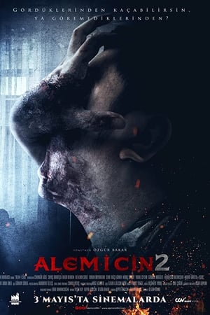 Alem-i Cin 2 izle