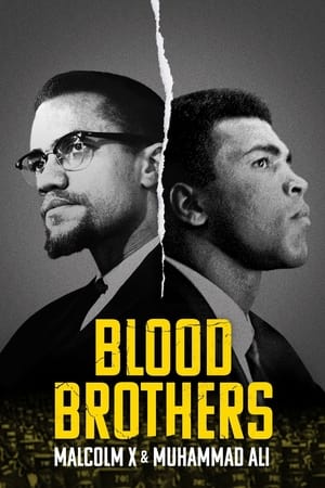 Kan Kardeşler: Malcolm X ve Muhammed Ali izle