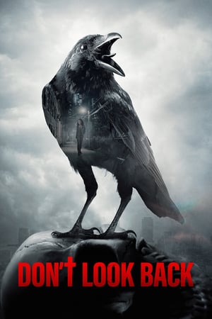 Don’t Look Back izle